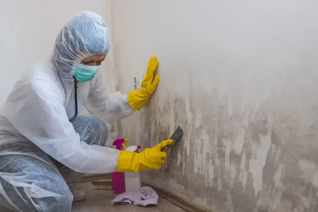 water damage restoration service Fain Park